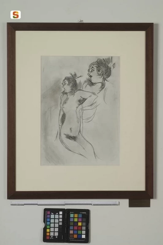 Studio di viso e nudo femminile - Sassari